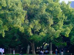 -苏州大学(天赐庄校区)