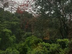 -全季酒店(广州越秀公园店)