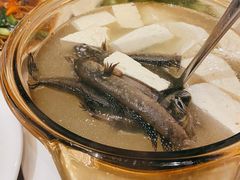 豆腐跳跳鱼-榕树下海鲜楼(开元店)