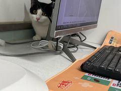 -达爱动物医院·犬猫分区·CT·复杂眼科(远洋山水分院)