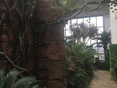 -悦隆庄温泉度假酒店