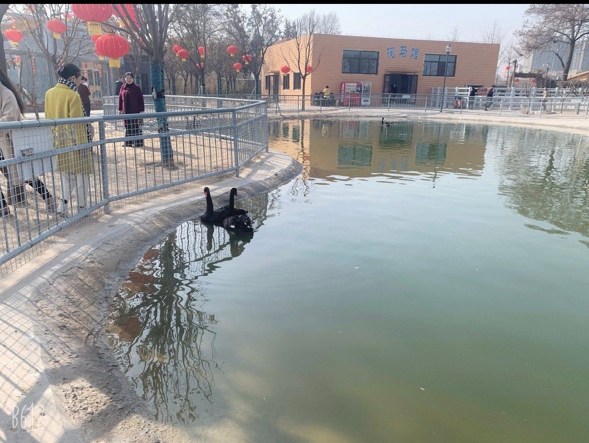 商丘人民公园动物园