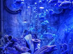 -成都浩海立方海洋公园