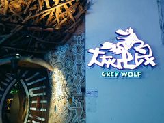 -大灰狼(中心书城店)