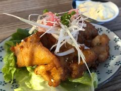 唐扬炸鸡块-馥家小馆(黔灵山公园店)