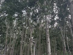 -仁和公园(顺义区)