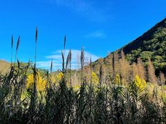 -广州市石门国家森林公园