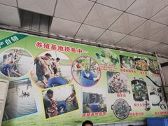 -鸿渡渔庄·特色鸭咀鱼