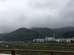-武清南湖绿博园