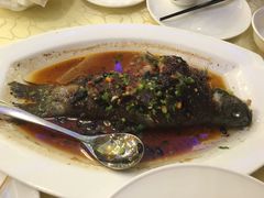 -都市阳光海鲜城(青山湖店)