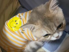 -宠爱国际动物医院· 猫科· 外科·中兽医(长白店)