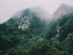 -龙湾潭国家森林公园