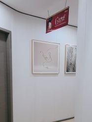 -郑荃丽格医疗美容