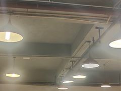 -邓莽子老火锅(中兴路总店)