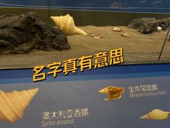 -舟山博物馆