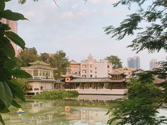 -荔湾湖公园