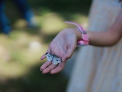 -桤木河湿地公园