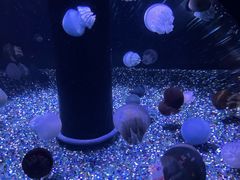 -成都浩海立方海洋公园