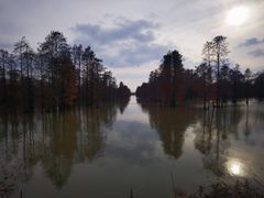 -池杉湖湿地公园
