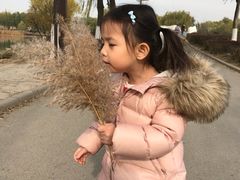 -北京麋鹿生态实验中心