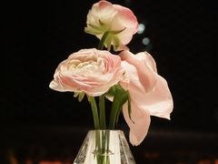 -岷山饭店·THE RIVER HOUSE西餐厅