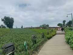 景点-天府芙蓉园