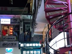 -猫咪博物馆(顶澳仔猫街店)