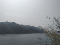 -羚羊峡古栈道森林公园