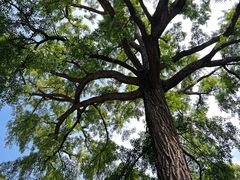 -天津盘山风景名胜区