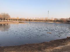 -永定河休闲森林公园