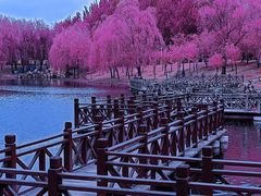 -长春公园(普阳街道)