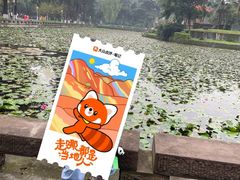 -四川大学(华西校区)