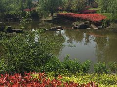 -宁波九龙湖开元度假村