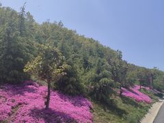 -威海华夏城景区