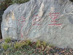 -诗经里