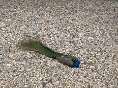 -南京金牛湖风景区