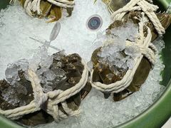 -炉忆家宴(京东店)
