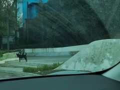 -南山植物园