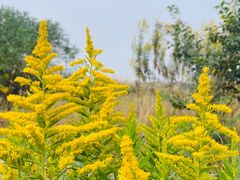 -上海市保健医疗中心