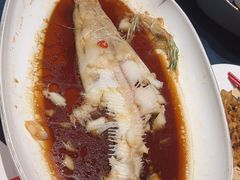 -金狮麟·新豫菜(金码大厦店)