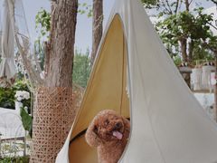 -安德鲁户外烧烤帐篷营地(马泉营店)