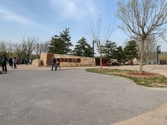 -东郊湿地公园