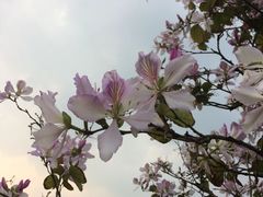 -广西师范大学(育才校区)