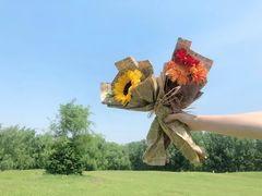 -长白岛森林公园