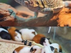 -正佳雨林生态植物园
