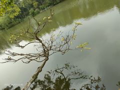 -八卦田遗址公园