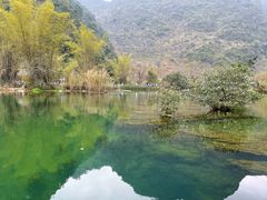 -靖西鹅泉风景区