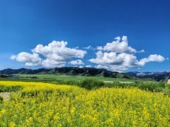 -扁都口生态休闲旅游区