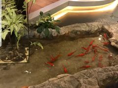 -小天鹅火锅·一线江景洪鼎旗舰店(洪崖洞店)