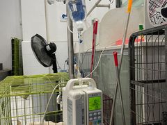 -瑞派罗医生宠物诊所(古镇分所)